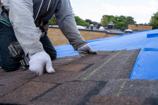 Best New Roof Installation  in Royal Oak, MI
